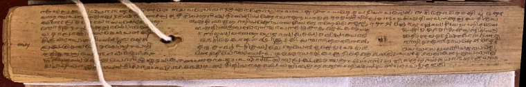 Long palm-leaf Arthashastra manuscript folio in Grantha script threaded by a cord